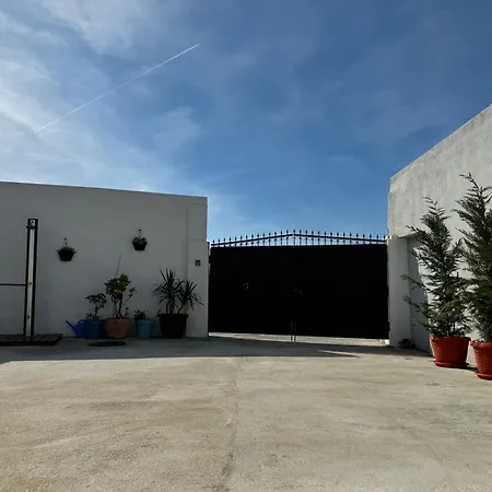 House Oasis Livak *